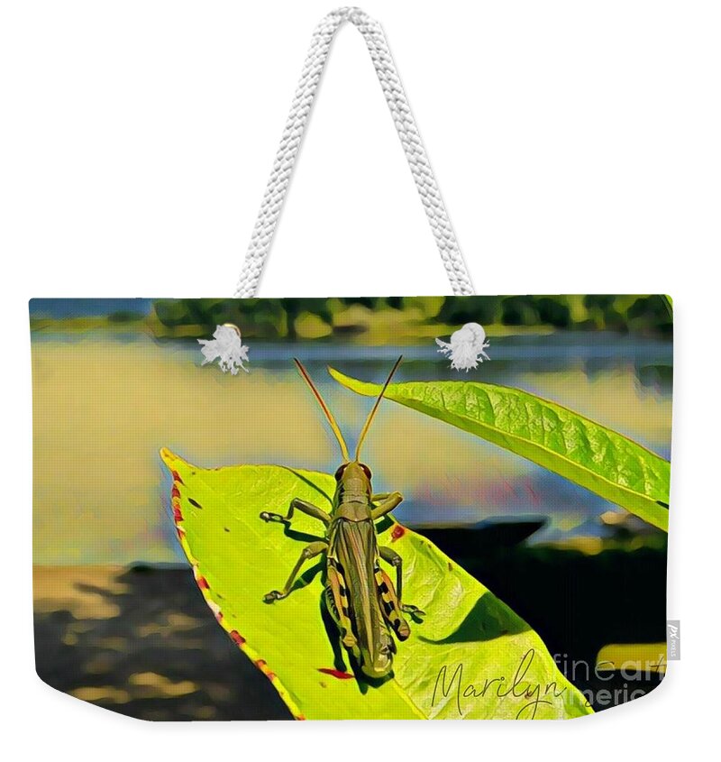 Mississippi River Weekender Tote Bag featuring the painting Grasshopper Sunning by Marilyn Smith