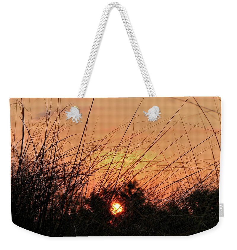 Beach Weekender Tote Bag featuring the photograph Grassy Beach Sunset by Carolyn Marshall