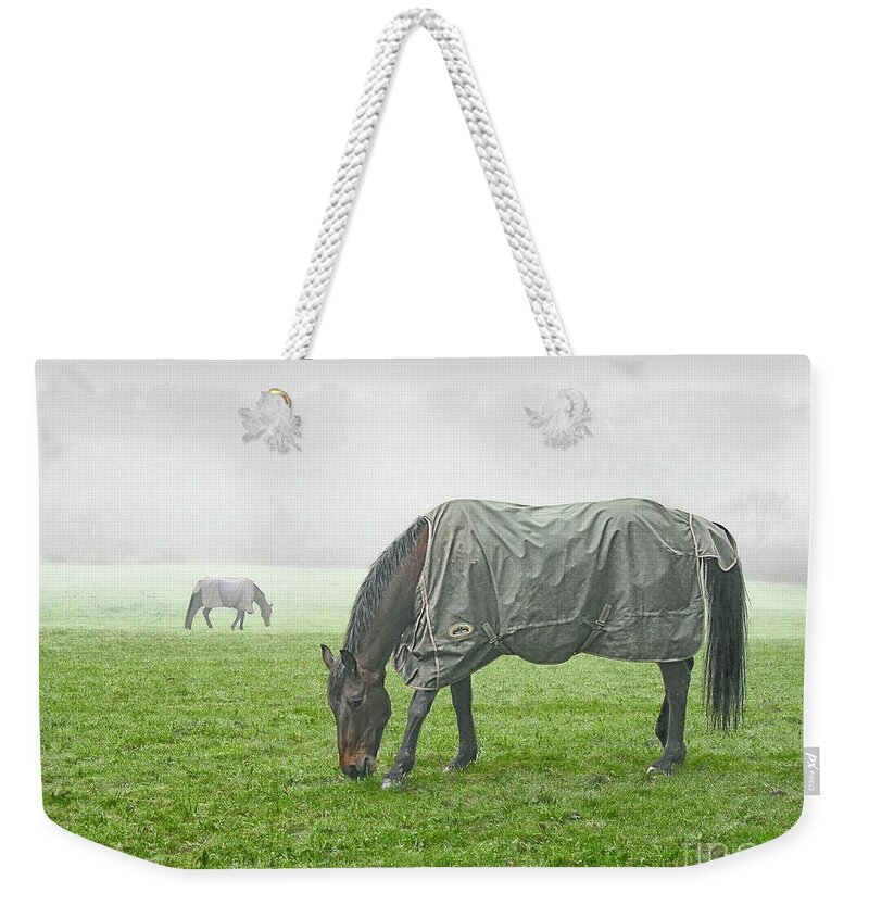 Grazing Duo Horses Pastoral Peaceful Fog Foggy Misty Mist Day Feeding Green Grass Grassland Pasture Dry-land Atmospheric Charming Beauties Beautiful Delightful Pretty Pastel Watercolor Calm Restful Relaxing Animals Tranquil Tranquillity Serenity Alone Solitary Lonely Field Summer Enjoyable Pleasing Landscape Impression Tender Shepherd Sweden Simplicity Togetherness Together Delicate Gentle Aesthetic Romantic Attractive Life-style Countryside Scenic Serene Scenery Quiet Placid Untroubled Pets Weekender Tote Bag featuring the photograph Keepind A Distance - Grazing Horses Duo, Pastoral And Peaceful, Foggy Day by Tatiana Bogracheva