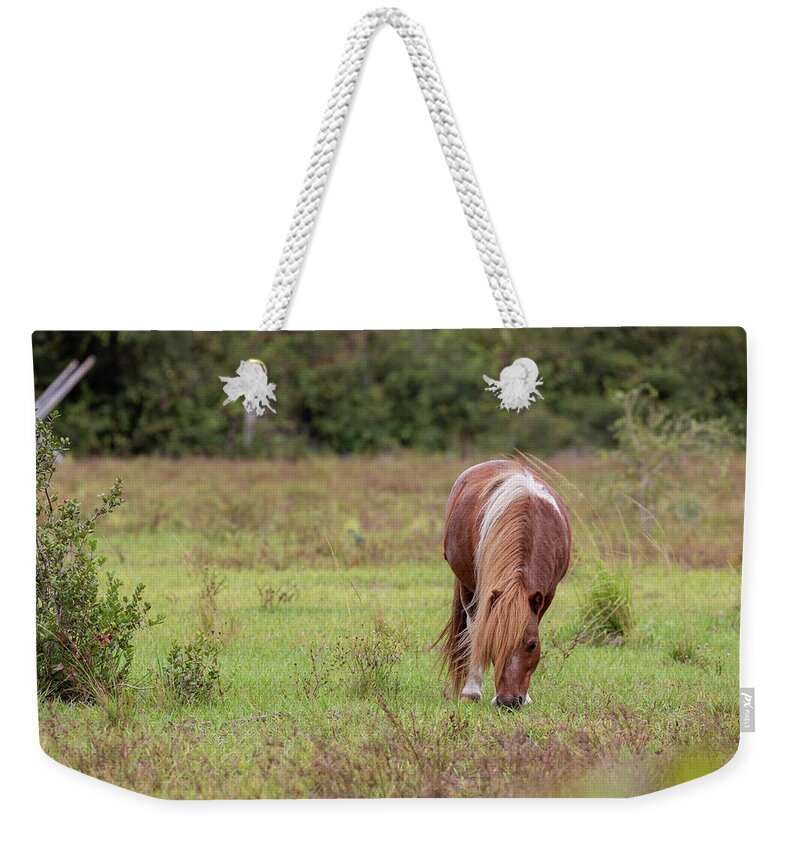 Camping Weekender Tote Bag featuring the photograph Grazing Horse #291 by Michael Fryd