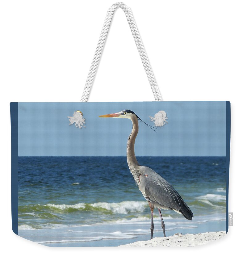  Weekender Tote Bag featuring the photograph Great Blue Heron #1 by Carla Brennan