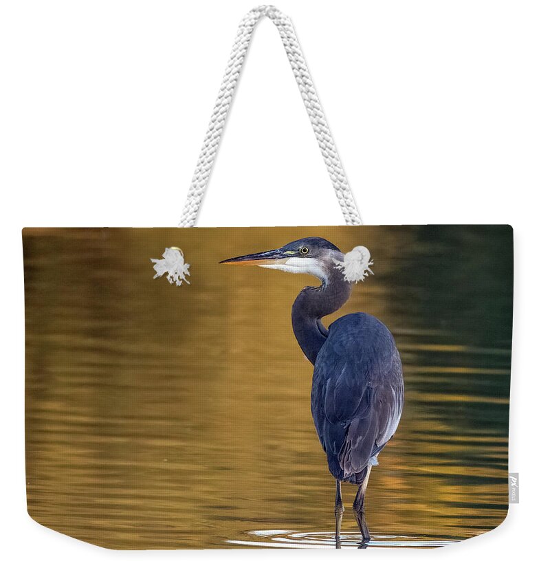 Great Blue Heron Weekender Tote Bag featuring the photograph Great Blue Heron 1399-110621-2 by Tam Ryan