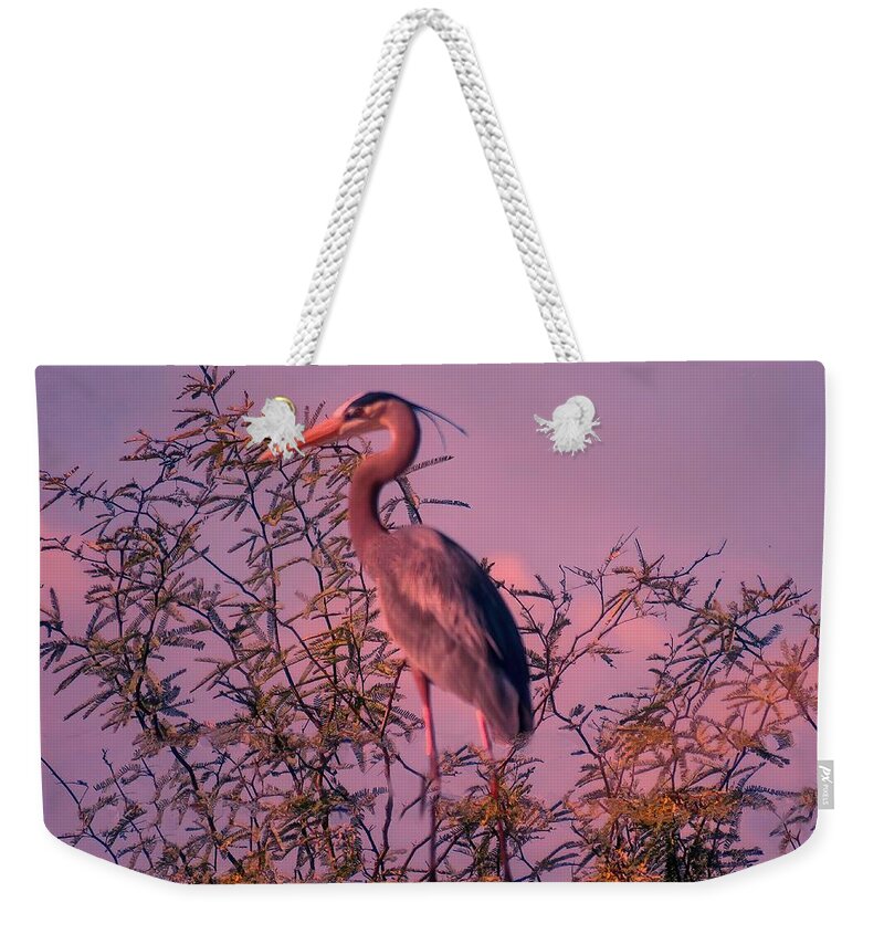 Arizona Weekender Tote Bag featuring the photograph Great Blue Heron - Artistic 6 by Judy Kennedy