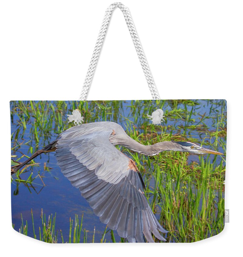 Great Blue Heron Weekender Tote Bag featuring the photograph Great Blue Heron Flight by Mark Andrew Thomas