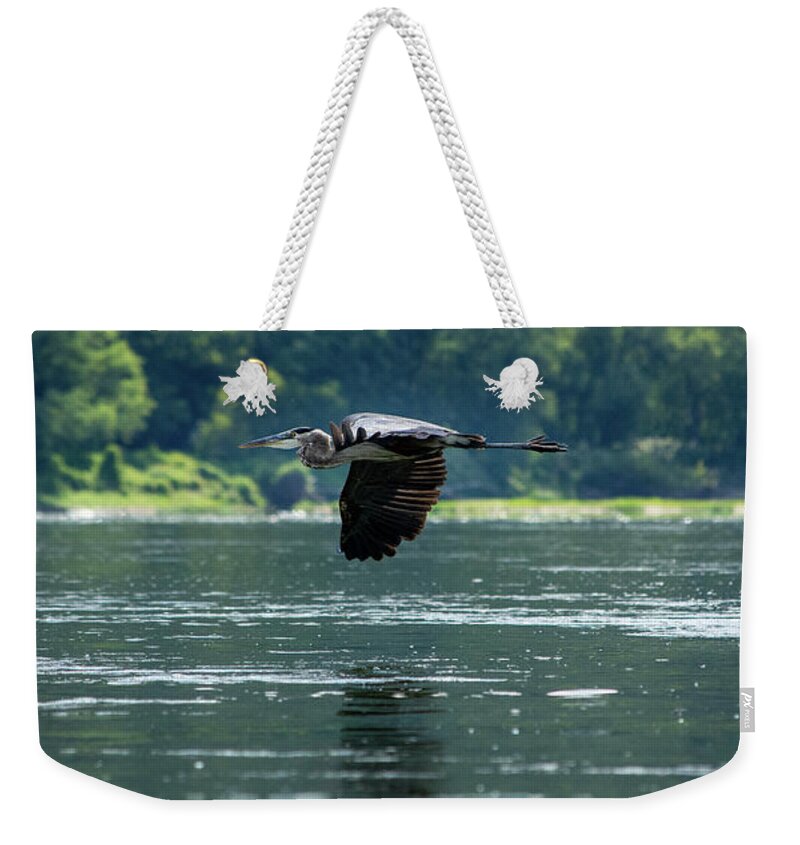 Great Blue Heron Weekender Tote Bag featuring the photograph Great Blue Heron Flying by Crystal Wightman