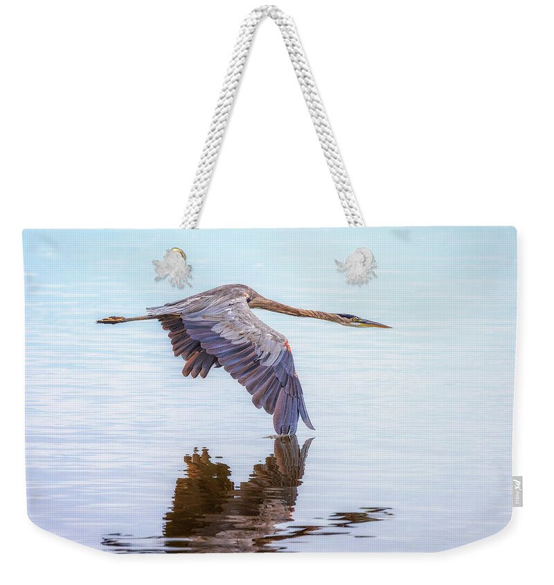 Great Blue Heron Weekender Tote Bag featuring the photograph Great Blue Heron Flying by Susan Rissi Tregoning