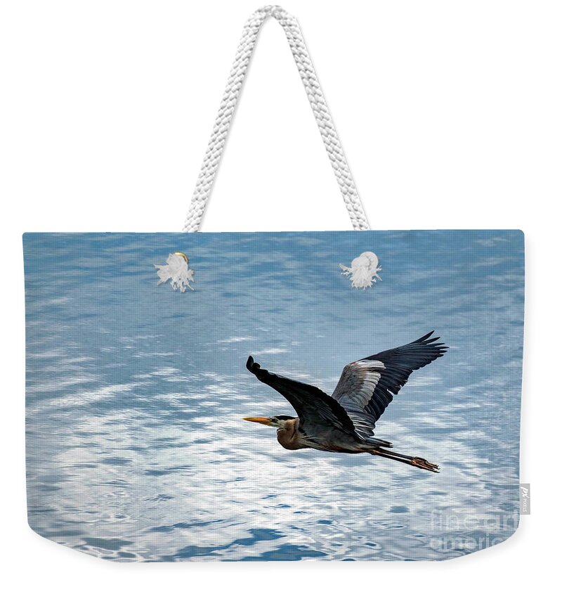 Great Weekender Tote Bag featuring the photograph Great Blue Heron In Flight by Beachtown Views