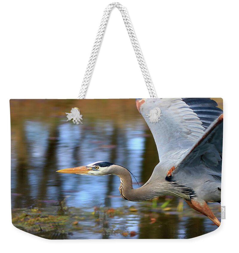 Great Blue Heron Weekender Tote Bag featuring the photograph Great Blue Heron in Flight by Shixing Wen