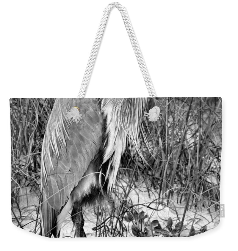 Great Weekender Tote Bag featuring the photograph Great Blue Heron In The Florida Grass Black And White by Adam Jewell