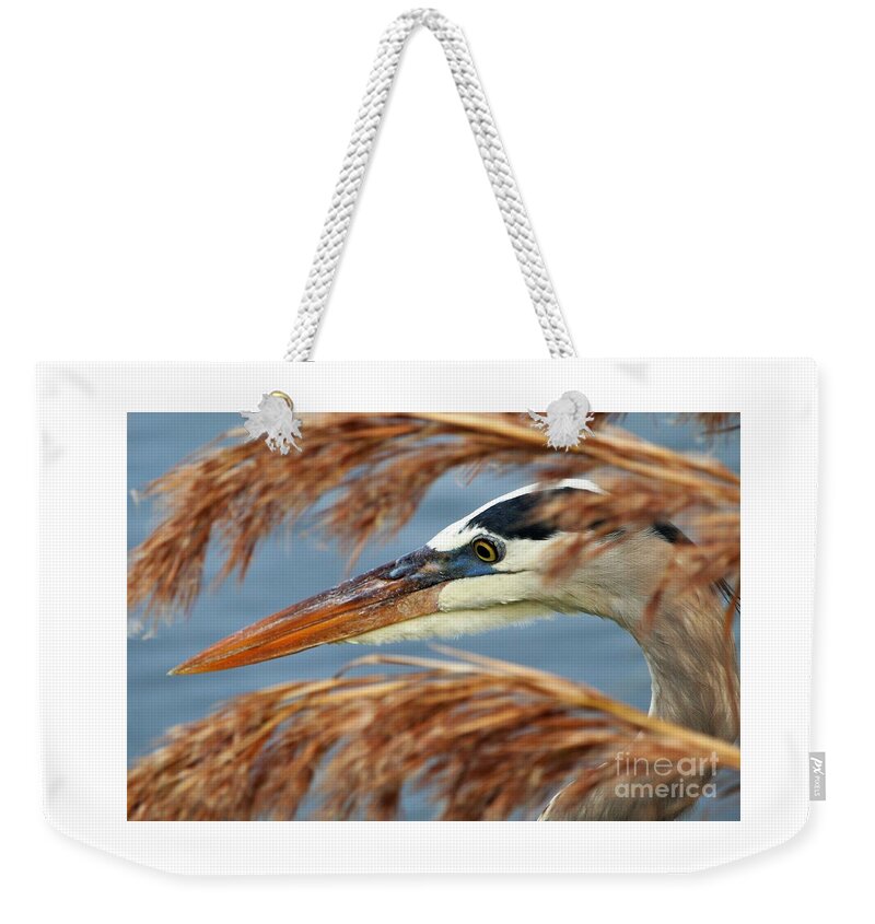 Great Blue Heron Weekender Tote Bag featuring the photograph Great Blue Heron by Joanne Carey