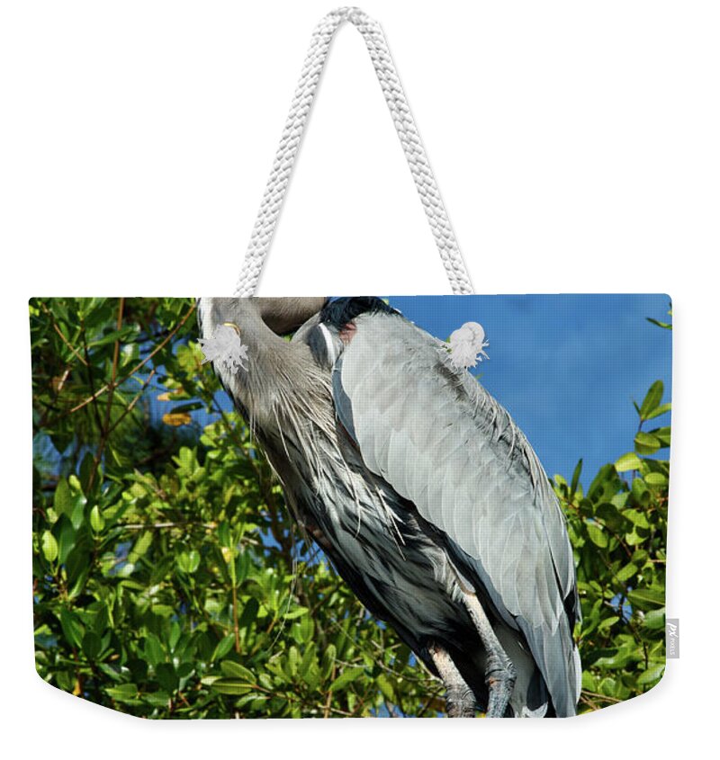 Great Blue Heron Weekender Tote Bag featuring the photograph Great Blue Heron on Piling by Sally Weigand