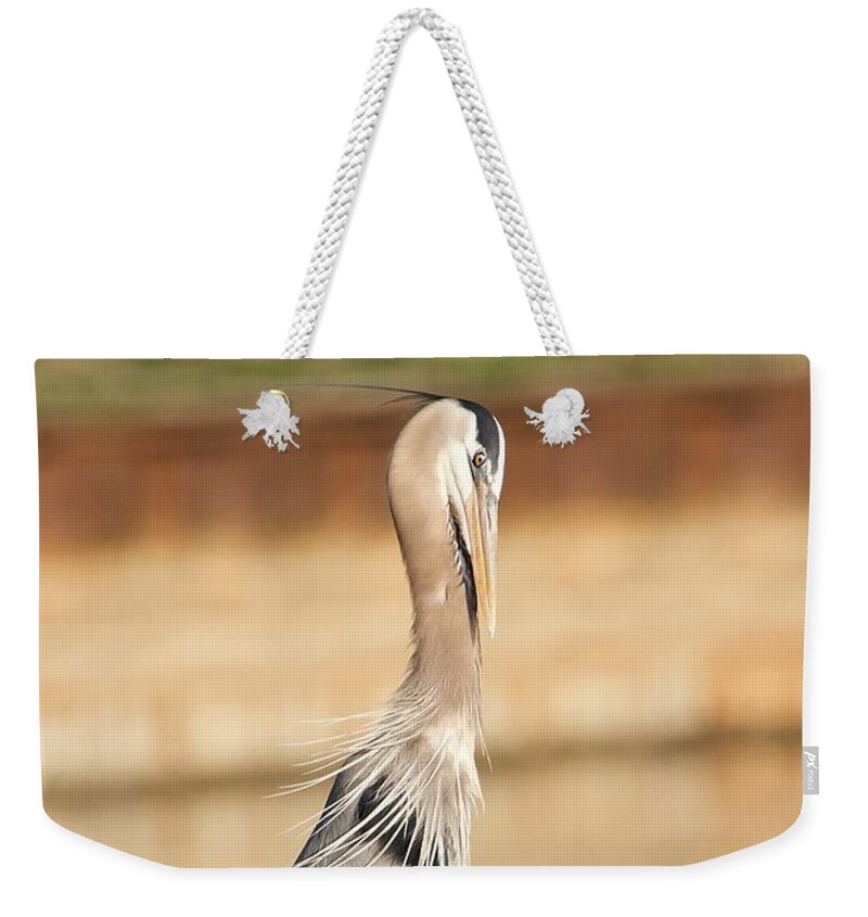 Great Blue Heron Weekender Tote Bag featuring the photograph Great Blue Heron Relaxed Wings by Yvonne M Smith
