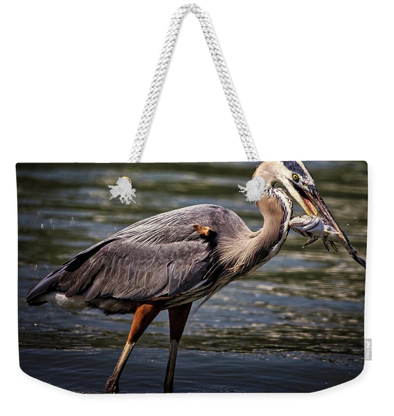 Bird Weekender Tote Bag featuring the photograph Great Blue Heron by Rene Vasquez