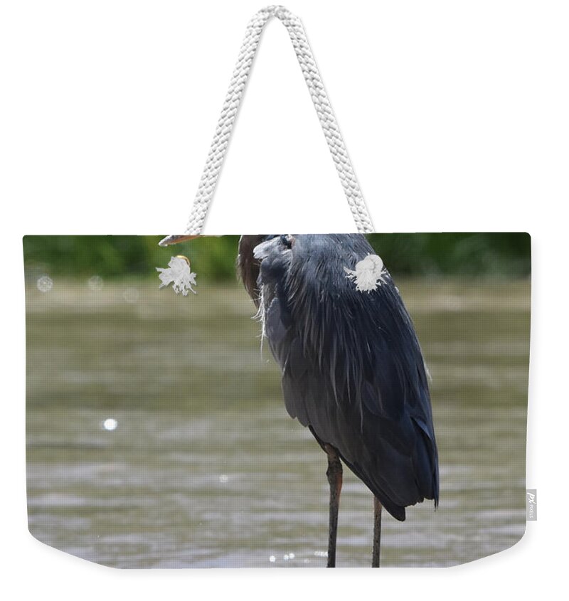 Heron Weekender Tote Bag featuring the photograph Great Blue Heron Standing Watch on the River by Ben Foster