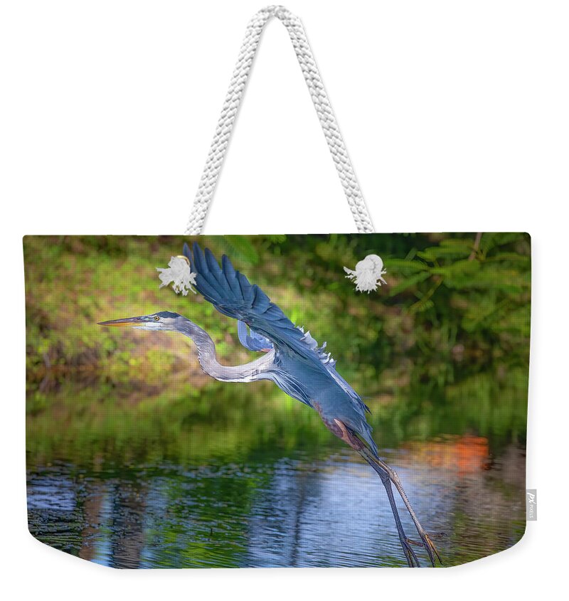 Great Blue Heron Weekender Tote Bag featuring the photograph Great Blue Heron Takes Flight by Mark Andrew Thomas