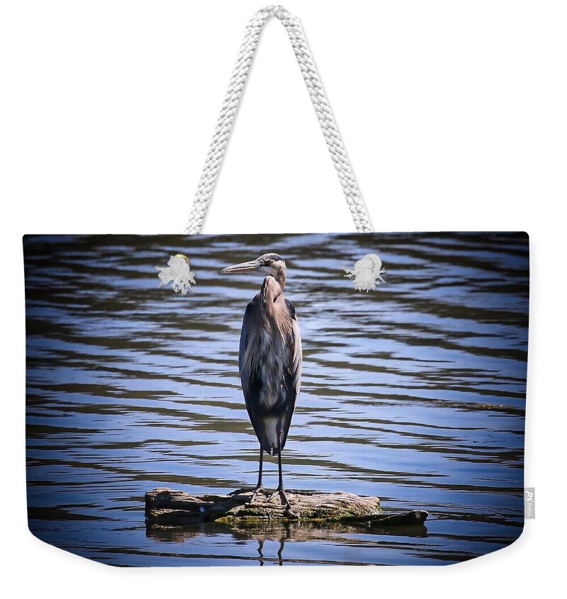 Heron Weekender Tote Bag featuring the photograph Great Blue Heron by Veronica Batterson