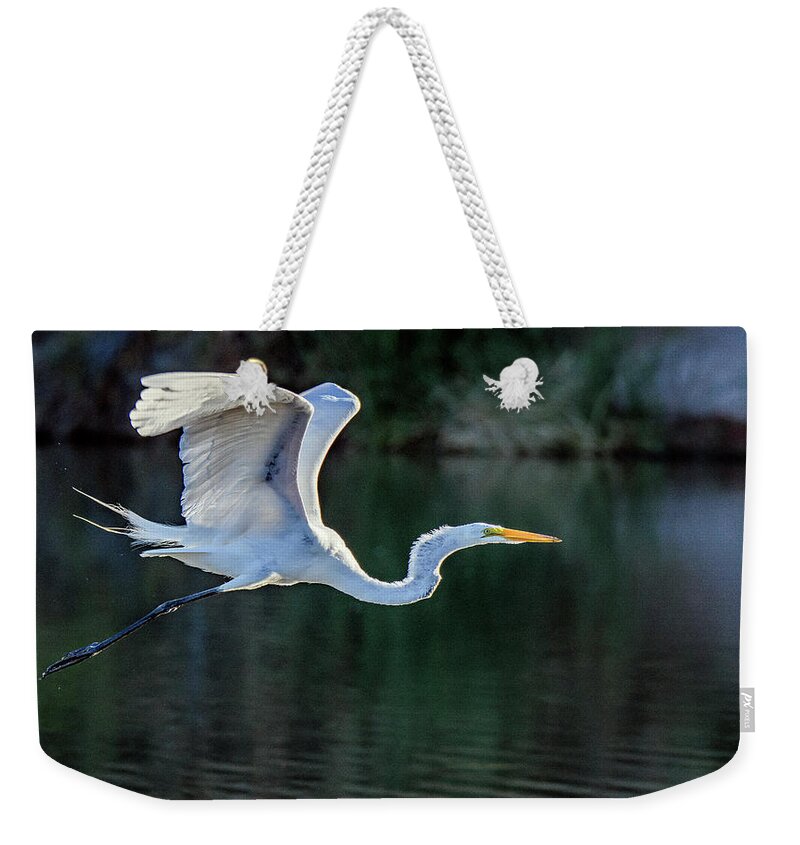 Great Egret Weekender Tote Bag featuring the photograph Great Egret 5487-061820-2 by Tam Ryan