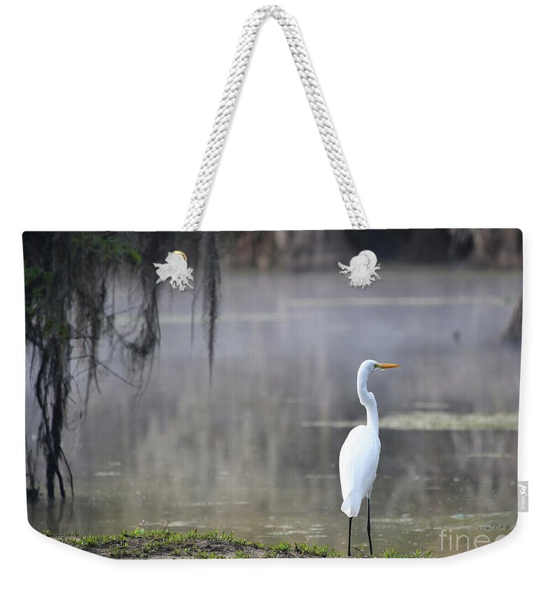 Great Egret Weekender Tote Bag featuring the photograph Great egret by Andrea Anderegg