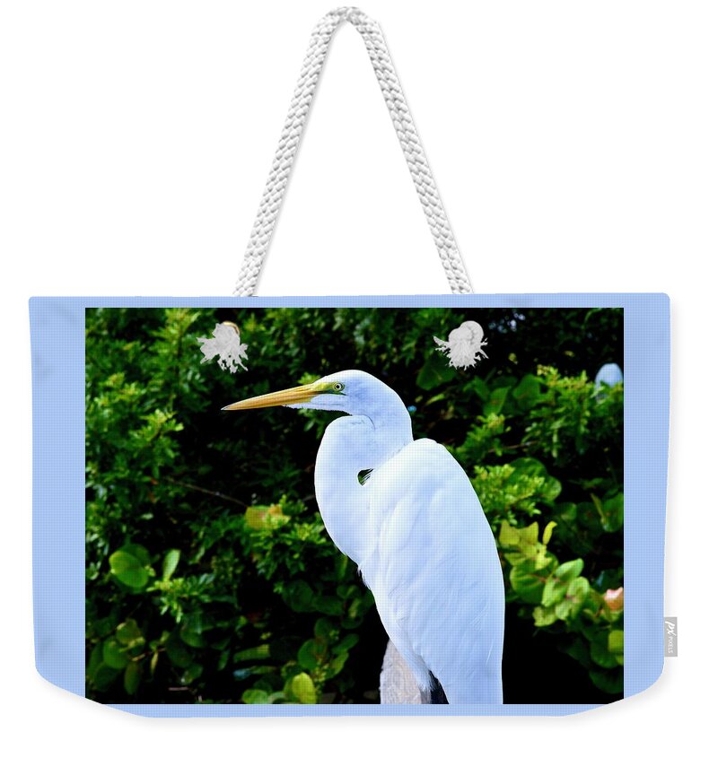 Great Egret Beauty Weekender Tote Bag featuring the photograph Great Egret Beauty by Warren Thompson