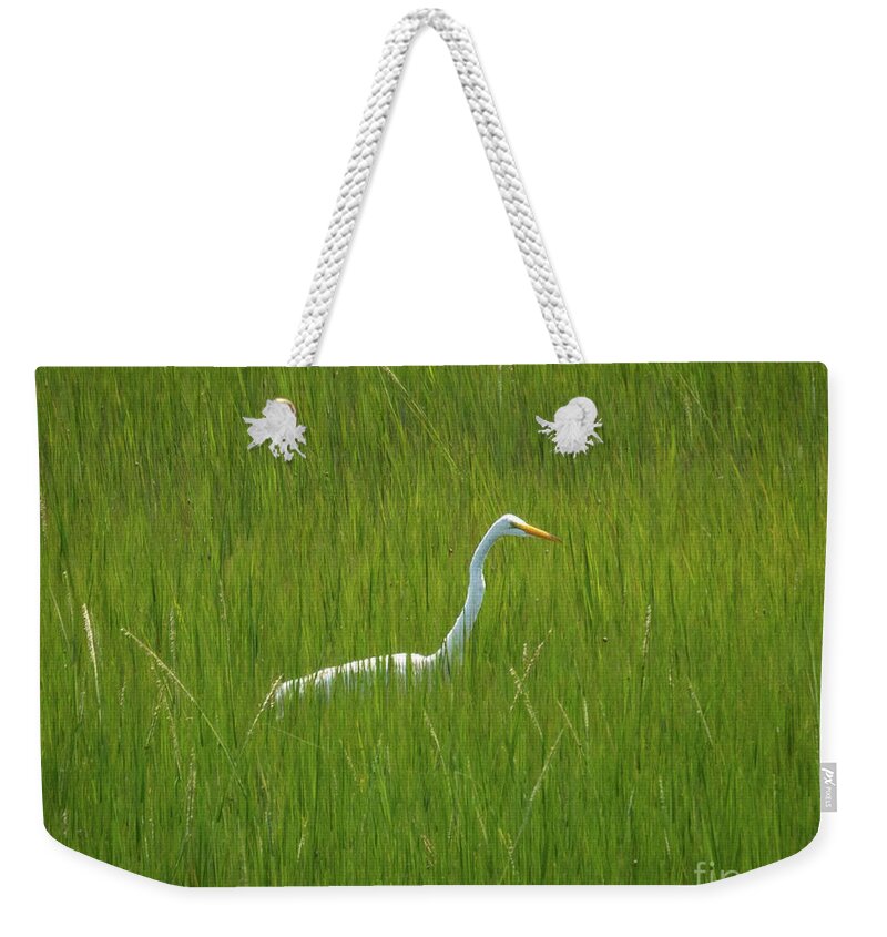 Chincoteague National Wildlife Refuge Weekender Tote Bag featuring the photograph Great Egret in a marsh by Izet Kapetanovic