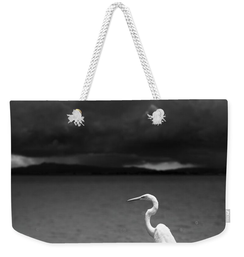 San Diego Weekender Tote Bag featuring the photograph Great Egret on Lake Henshaw by William Dunigan