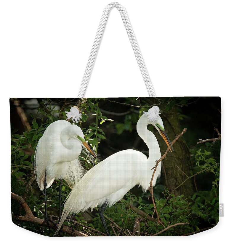 Wildlife Weekender Tote Bag featuring the photograph Great Egret Pair Nest Building by Kristia Adams