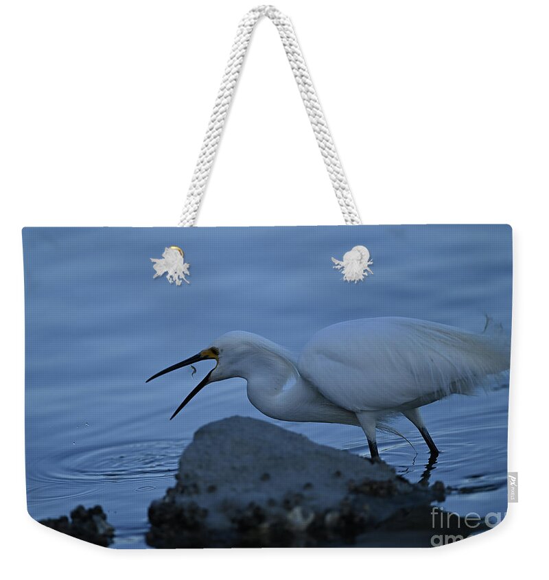 Great Egret Weekender Tote Bag featuring the photograph Great Egret Swallowing Fish by Amazing Action Photo Video