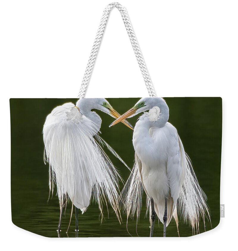 Great Egrets Weekender Tote Bag featuring the photograph Great Egrets 8762-061922-3 by Tam Ryan