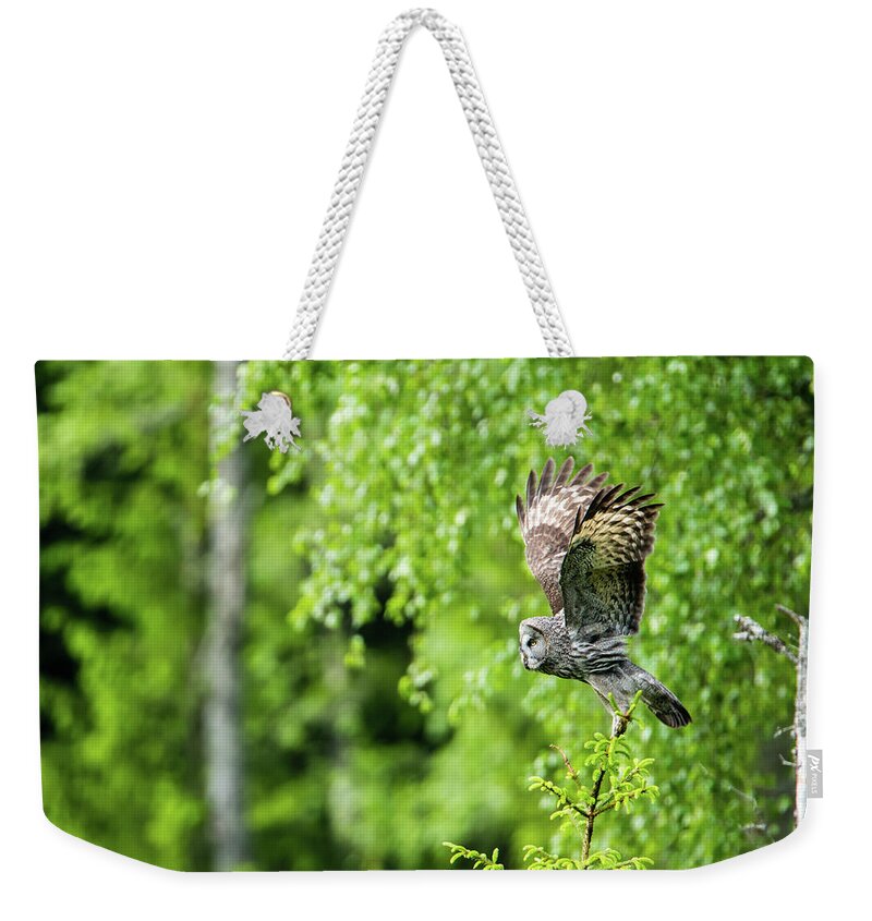 Great Grey Taking Off Weekender Tote Bag featuring the photograph Great Grey's Taking Off by Torbjorn Swenelius