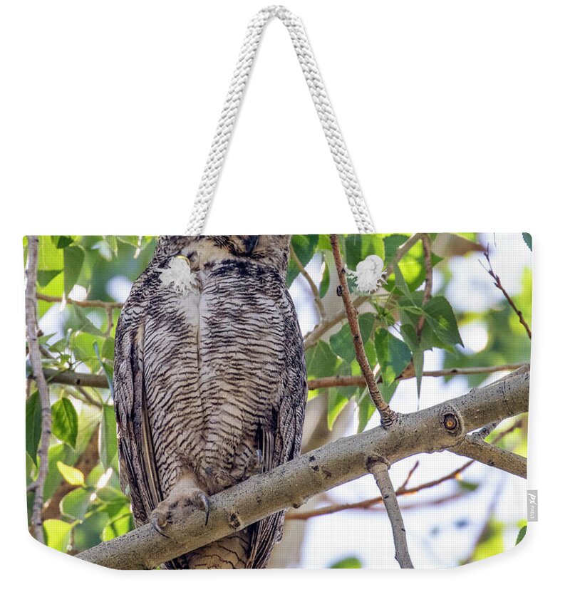 Owl Weekender Tote Bag featuring the photograph Great Horned Owl Hunting by Dawn Key