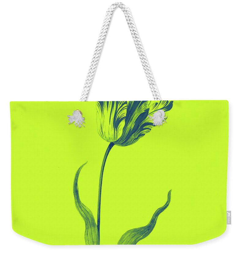 Poster Weekender Tote Bag featuring the painting Great Tulip Book , Admirael De Gouda Poster by MotionAge Designs