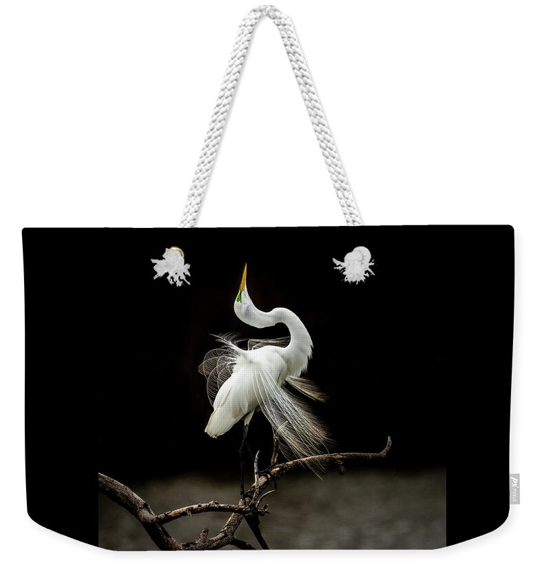 Egret Weekender Tote Bag featuring the photograph Great White Egret Feathers III by Patti Deters