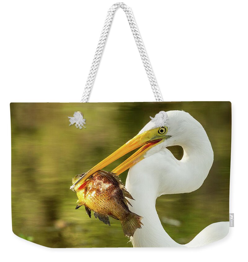 Great White Heron Weekender Tote Bag featuring the photograph Great White Heron by David Lee
