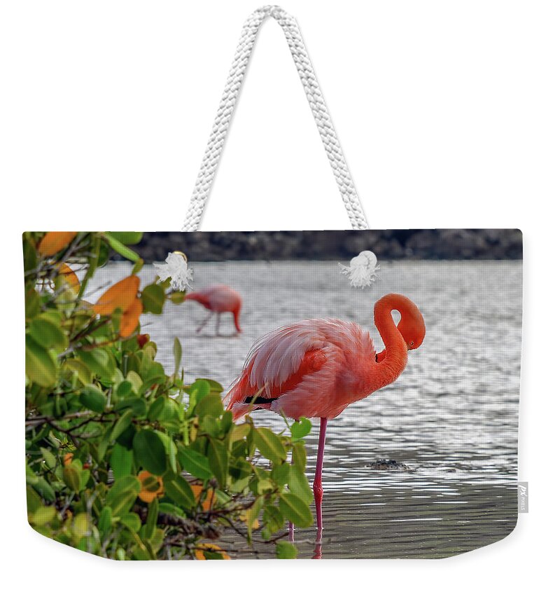 American Flamingo Weekender Tote Bag featuring the photograph Greater Flamingo with gracefully curved neck by Henri Leduc