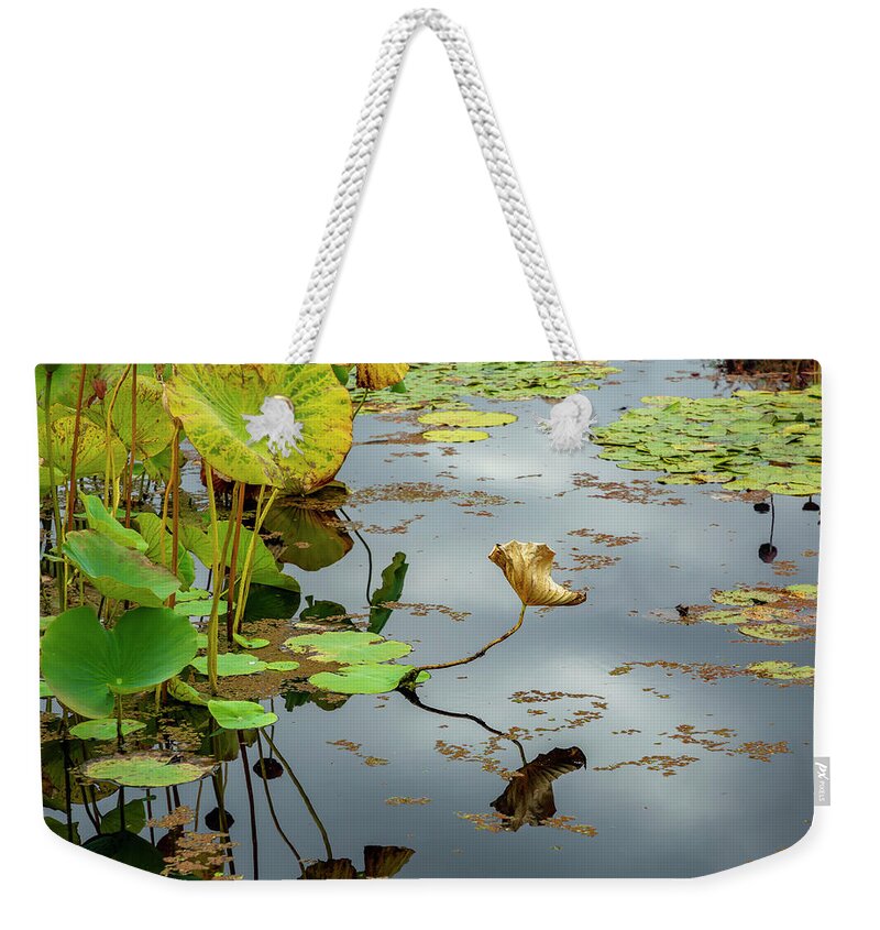 Pond Plants Weekender Tote Bag featuring the photograph Green and Gold Pond Plants by Cate Franklyn