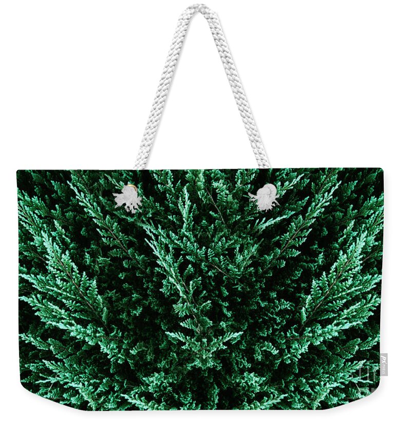 Green Weekender Tote Bag featuring the photograph Green botanical trendy texture background from above. Dark moody by Jelena Jovanovic