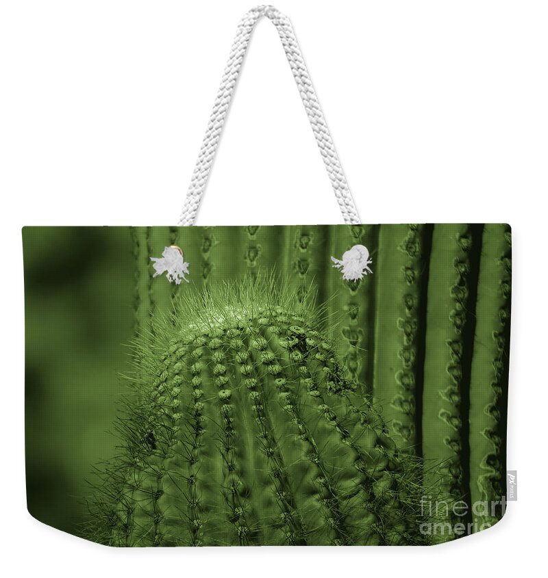 Plants Weekender Tote Bag featuring the photograph Green Cactus by Mary Mikawoz