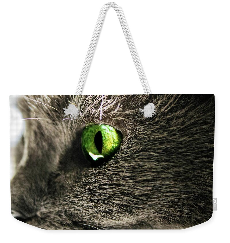  Weekender Tote Bag featuring the photograph Green Cats Eye by Nicole Engstrom