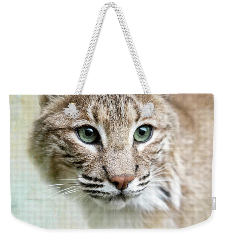 Red Wolf Sanctuary Weekender Tote Bag featuring the photograph Green Eyed Bobcat by Ed Taylor
