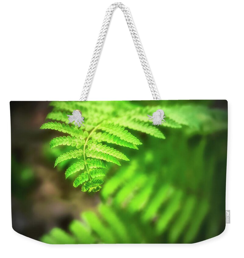 Green Weekender Tote Bag featuring the photograph Green Fern by Marianne Campolongo