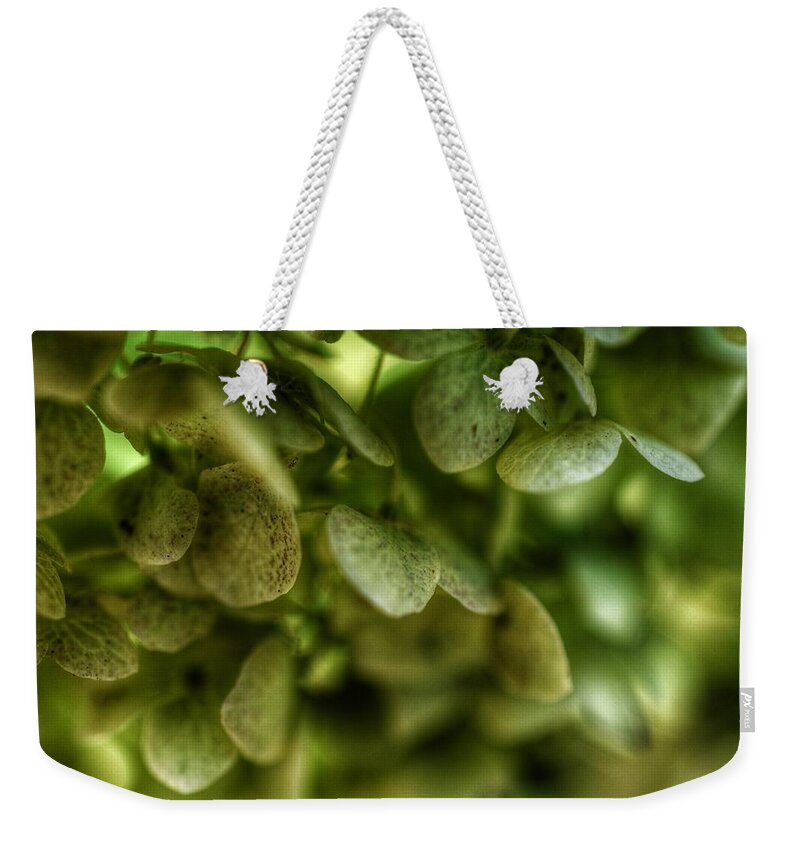Photo Weekender Tote Bag featuring the photograph Green Garden View by Evan Foster