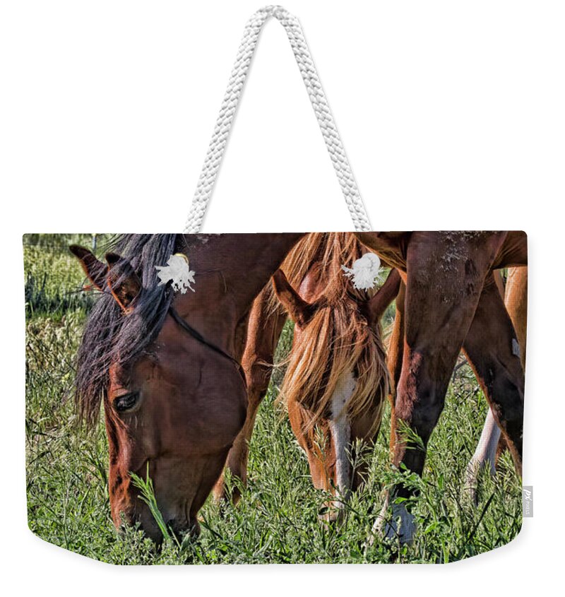 Horses Weekender Tote Bag featuring the photograph Green Grass and Mud by Alana Thrower