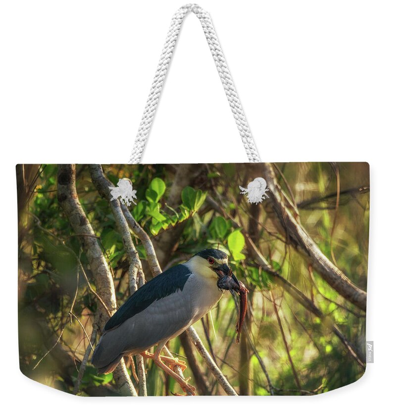 Animal Weekender Tote Bag featuring the photograph Green Heron's Catch by Framing Places