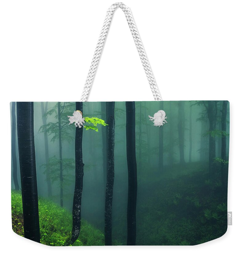 Balkan Mountains Weekender Tote Bag featuring the photograph Green Mist by Evgeni Dinev