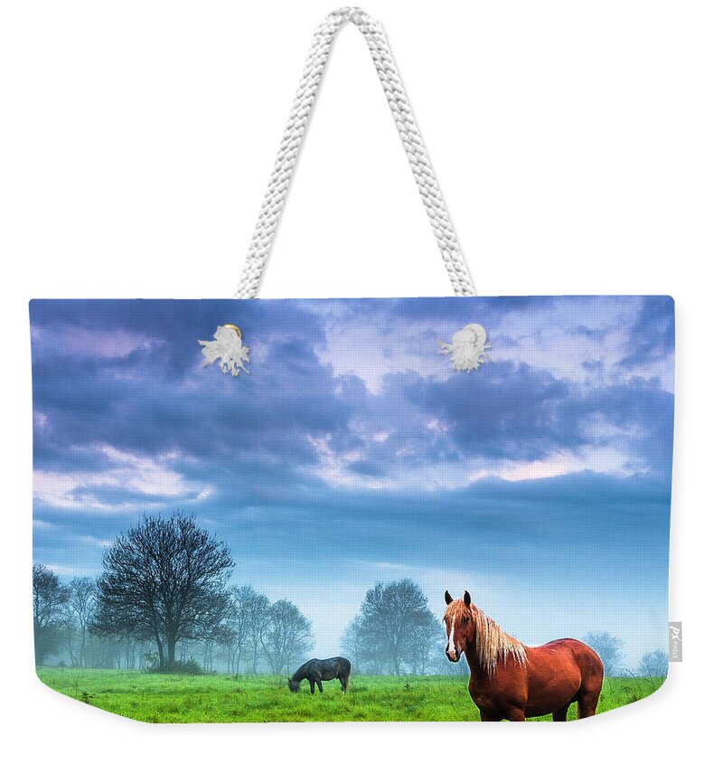 Fog Weekender Tote Bag featuring the photograph Green Morn by Evgeni Dinev