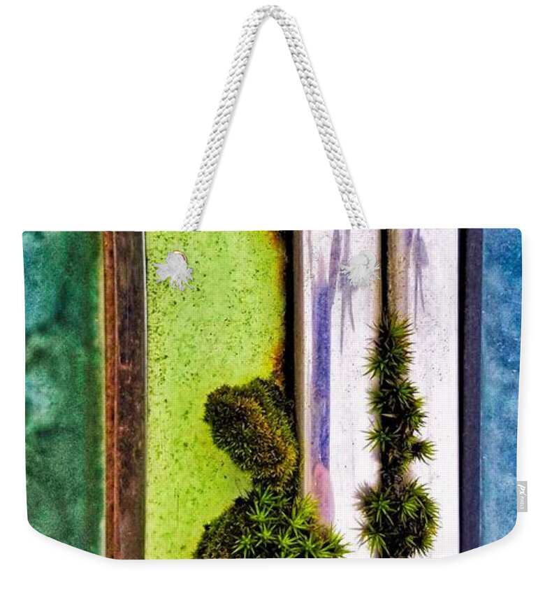 Moss Weekender Tote Bag featuring the photograph Green Moss by Jim Harris