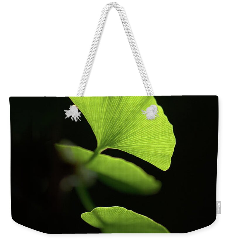Leaves Weekender Tote Bag featuring the photograph Green Sagacity by Philippe Sainte-Laudy