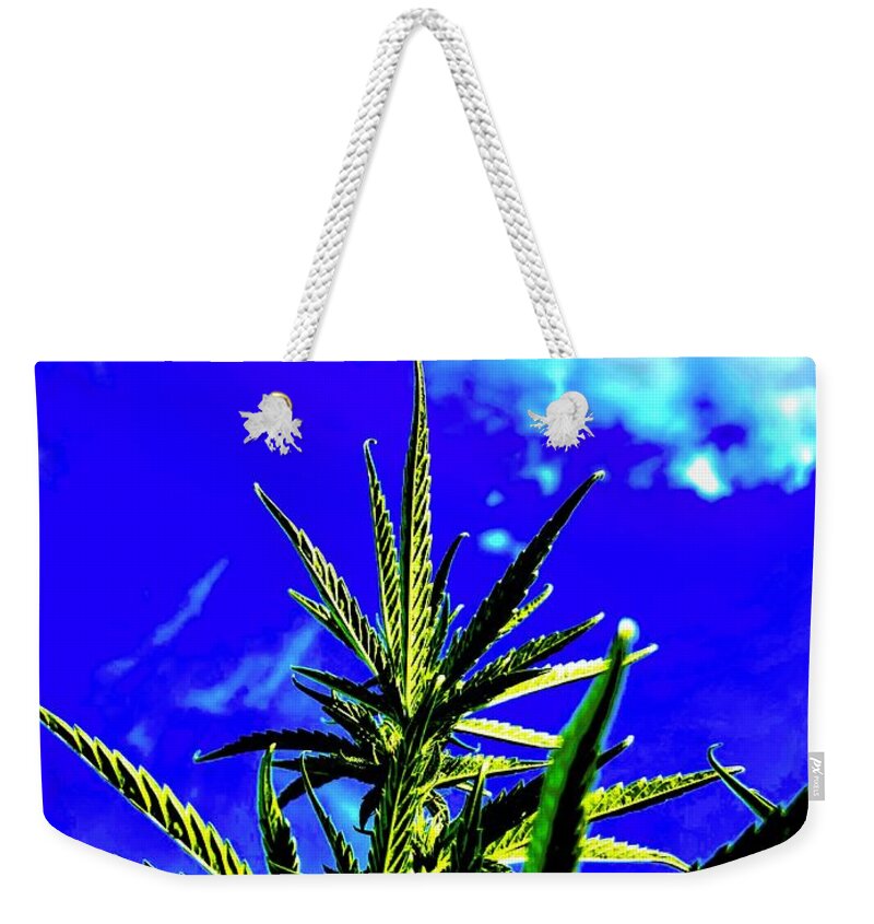 Plant Weekender Tote Bag featuring the photograph Green to the Sky by Toni Hopper