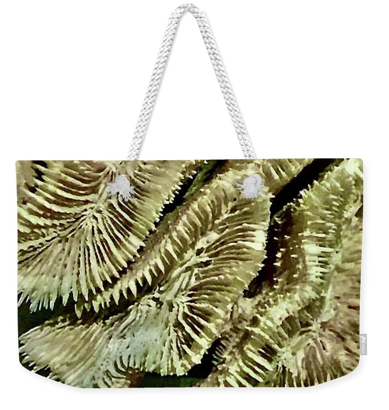 Plants Weekender Tote Bag featuring the photograph Green Ways by Kerry Obrist