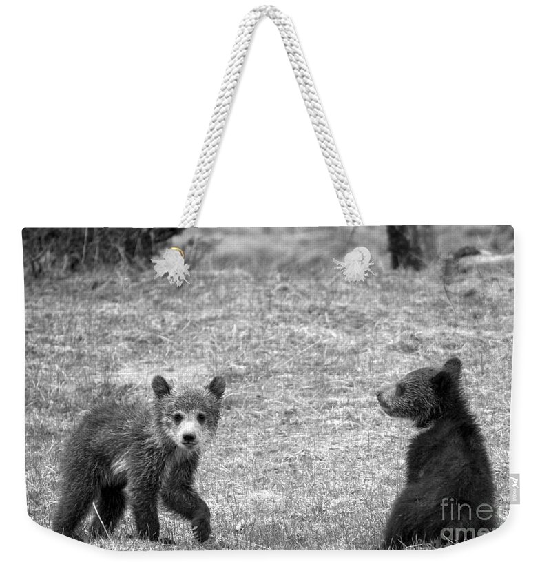 Grizzly Weekender Tote Bag featuring the photograph Grizzly Buddies Black And White by Adam Jewell